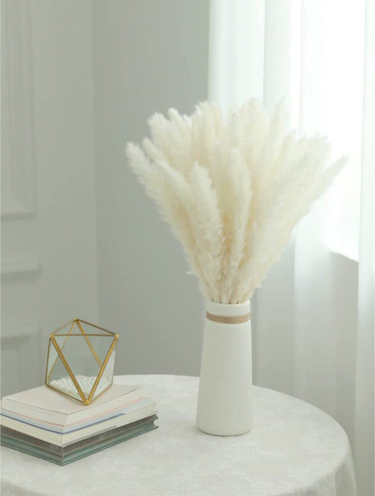 Natural White Pampas Grass 40pcs 45CM Fluffy and Swinging Dried Pampas Grass