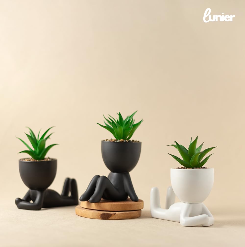 Seated Succulent Set (Set of 3) | Ceramic House Plant Pots With Artificial Succulent Plants