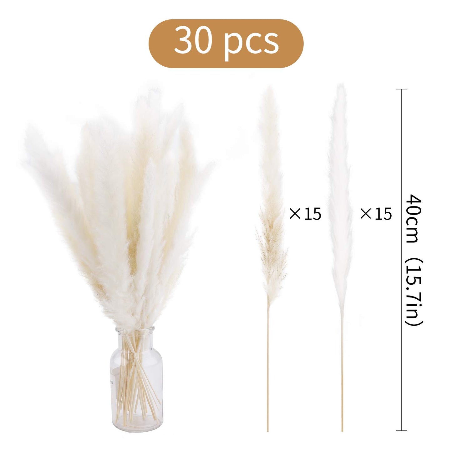 30 Pieces White Natural Dried Pampas Grass Artificial 40cm Boho