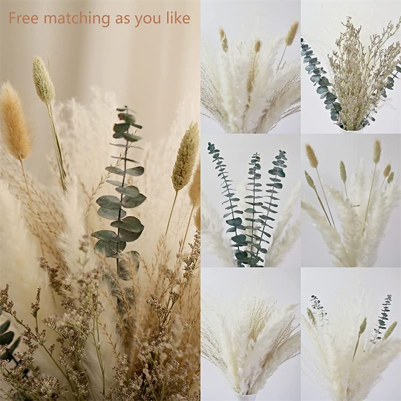 50 PCS Pampas Grass Dried Nature Dryflowers