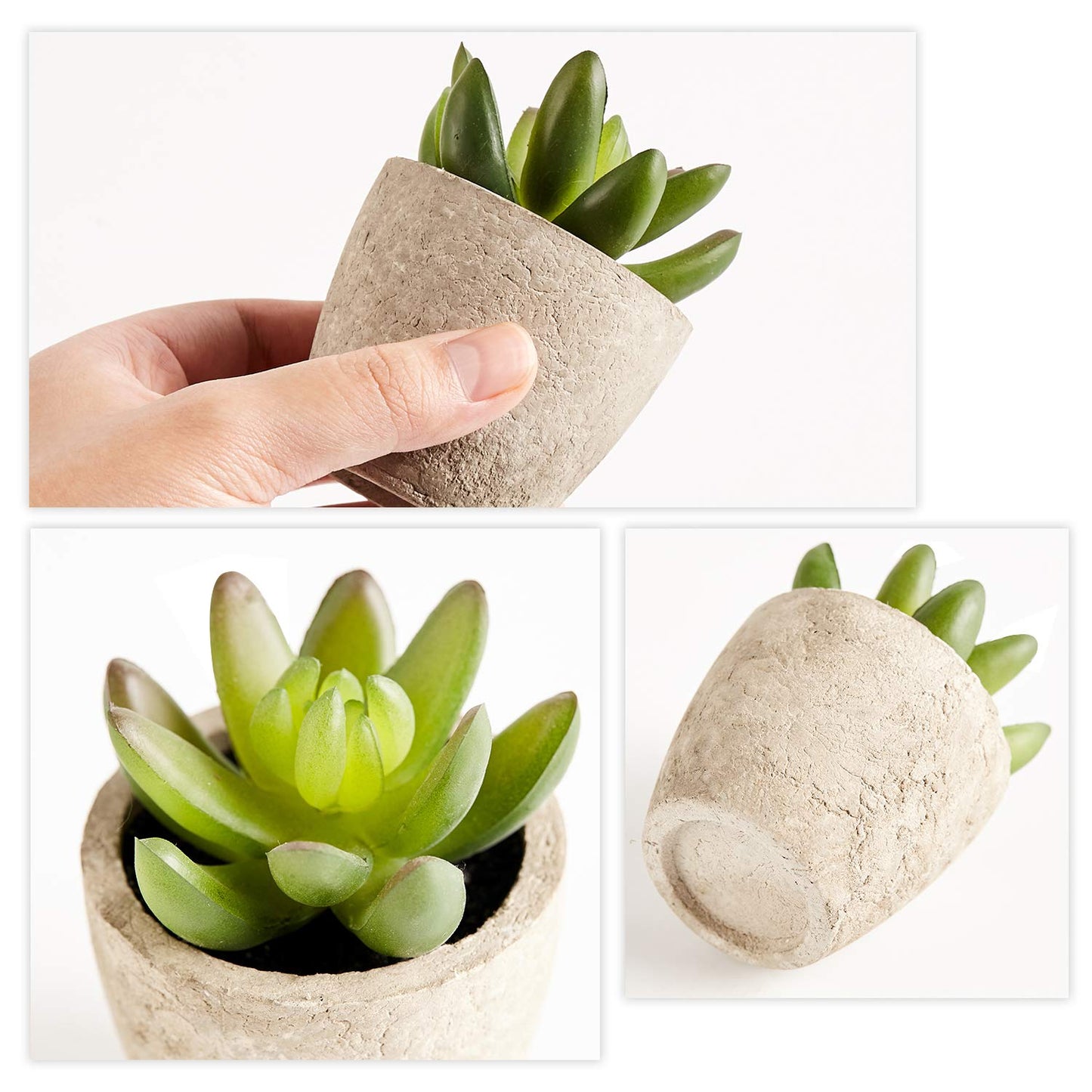 Artificial Succulents Plants Potted Set-Decorative Fake Succulent Plant Faux Set of 6