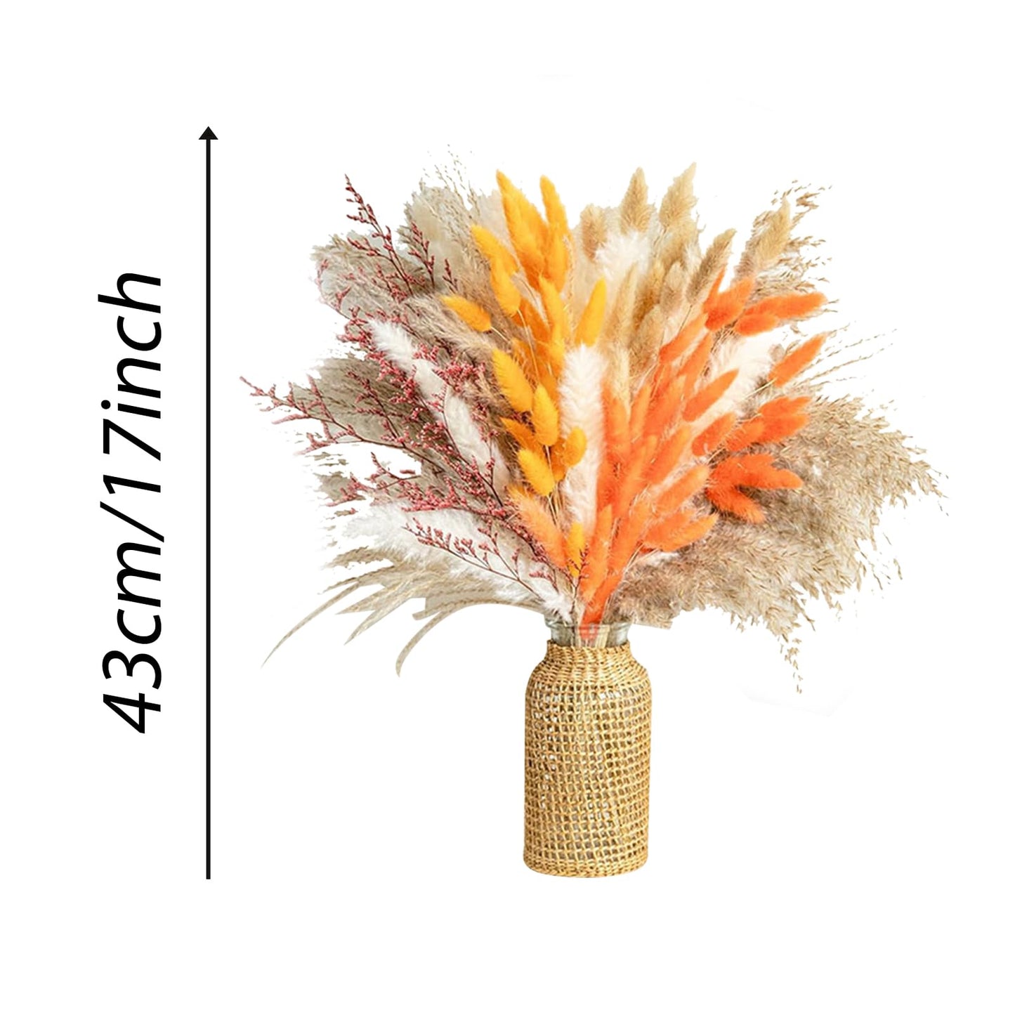 Nature Pampas Grass Boho Natural Dried Flowers Decoration Bouquet