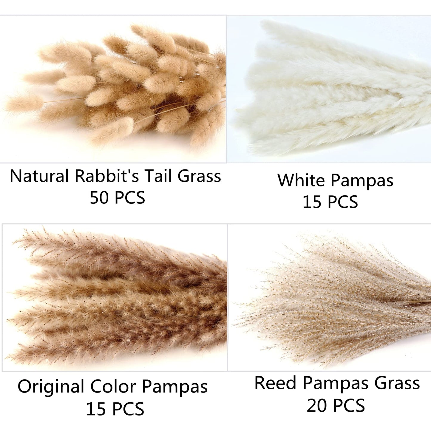 Dried Pampas Grass Decoration, 100 Pieces of Pampas Grass with Bunny Tails