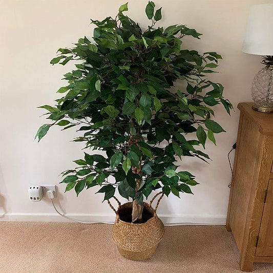 90cm Artificial Ficus Tree/Plant-Large Bushy Shape Black Plastic Pot