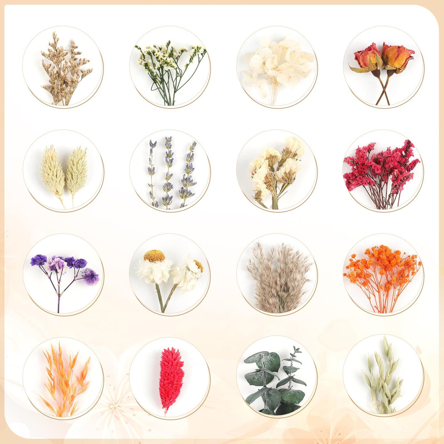 6PCS Mini Boho Dried Flower Bouquet Dried Flowers Small Bouquets