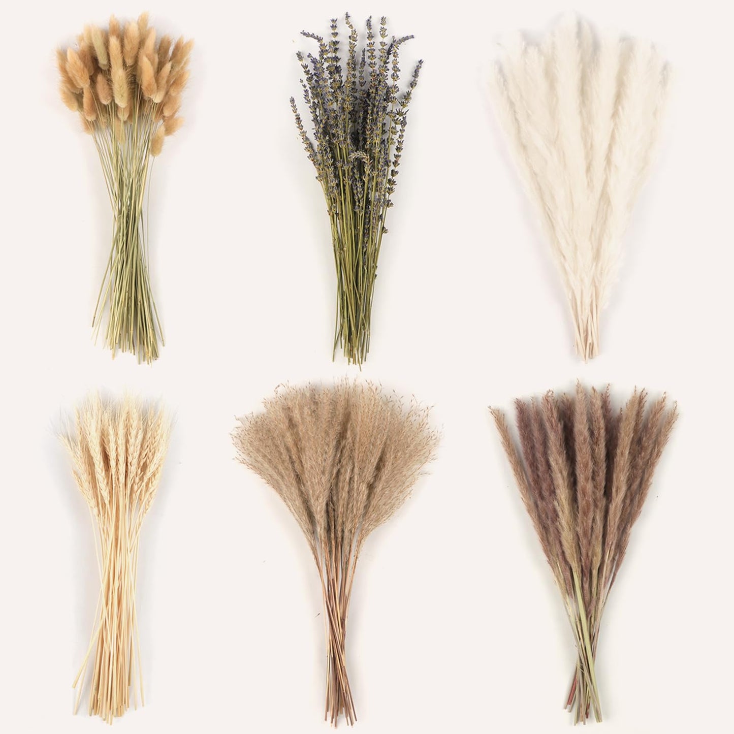 200PCS Natural Pampas Grass Decor Bouquet Reed Grass Bouquet