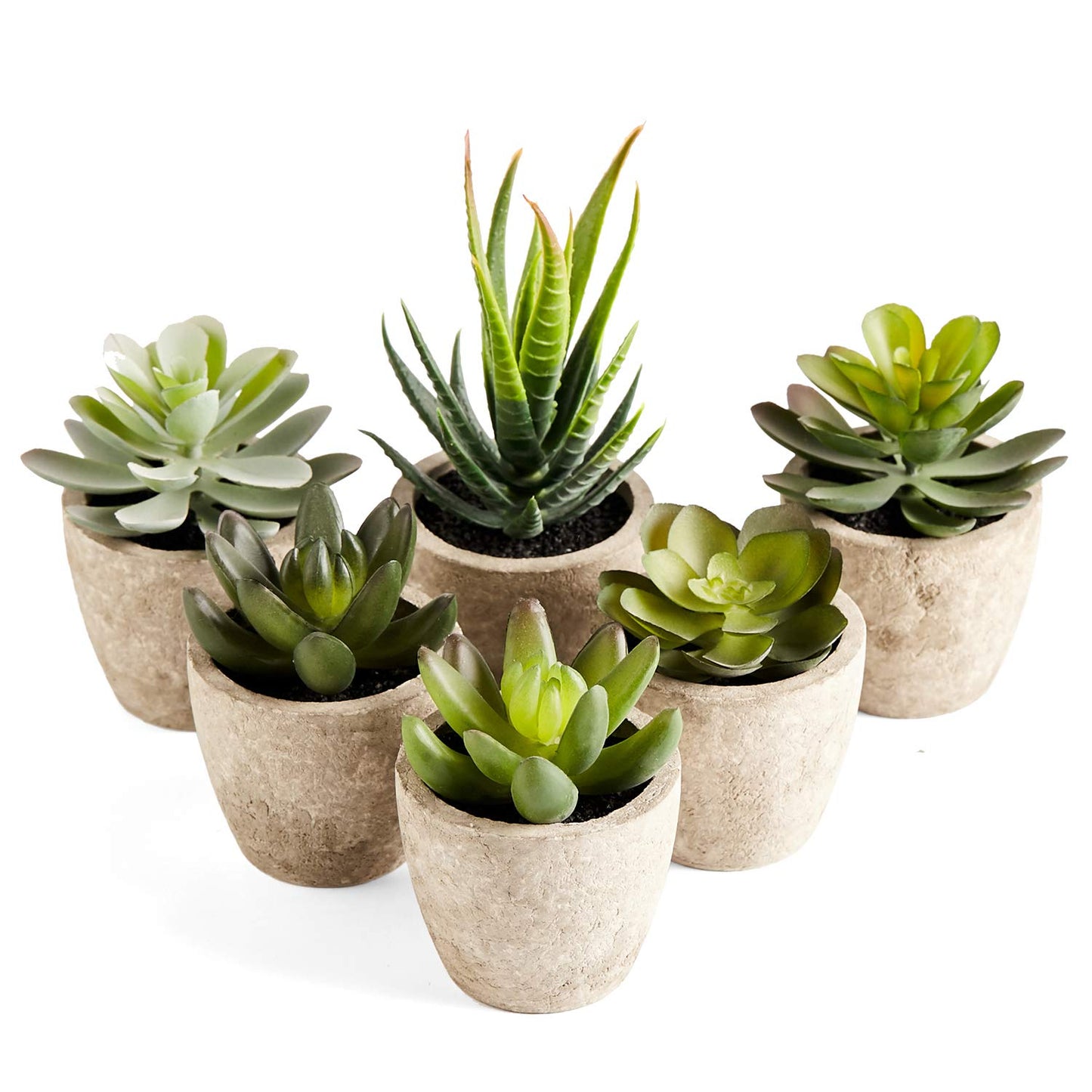 Artificial Succulents Plants Potted Set-Decorative Fake Succulent Plant Faux Set of 6