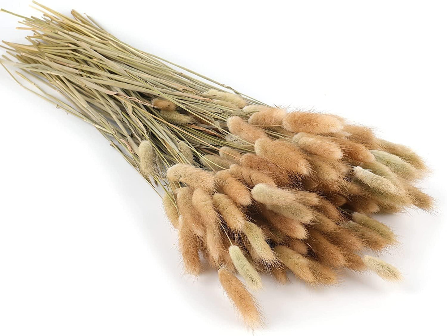 200PCS Bunny Tails Dried Flowers, 13inch Natural Rabbit Tail Grass