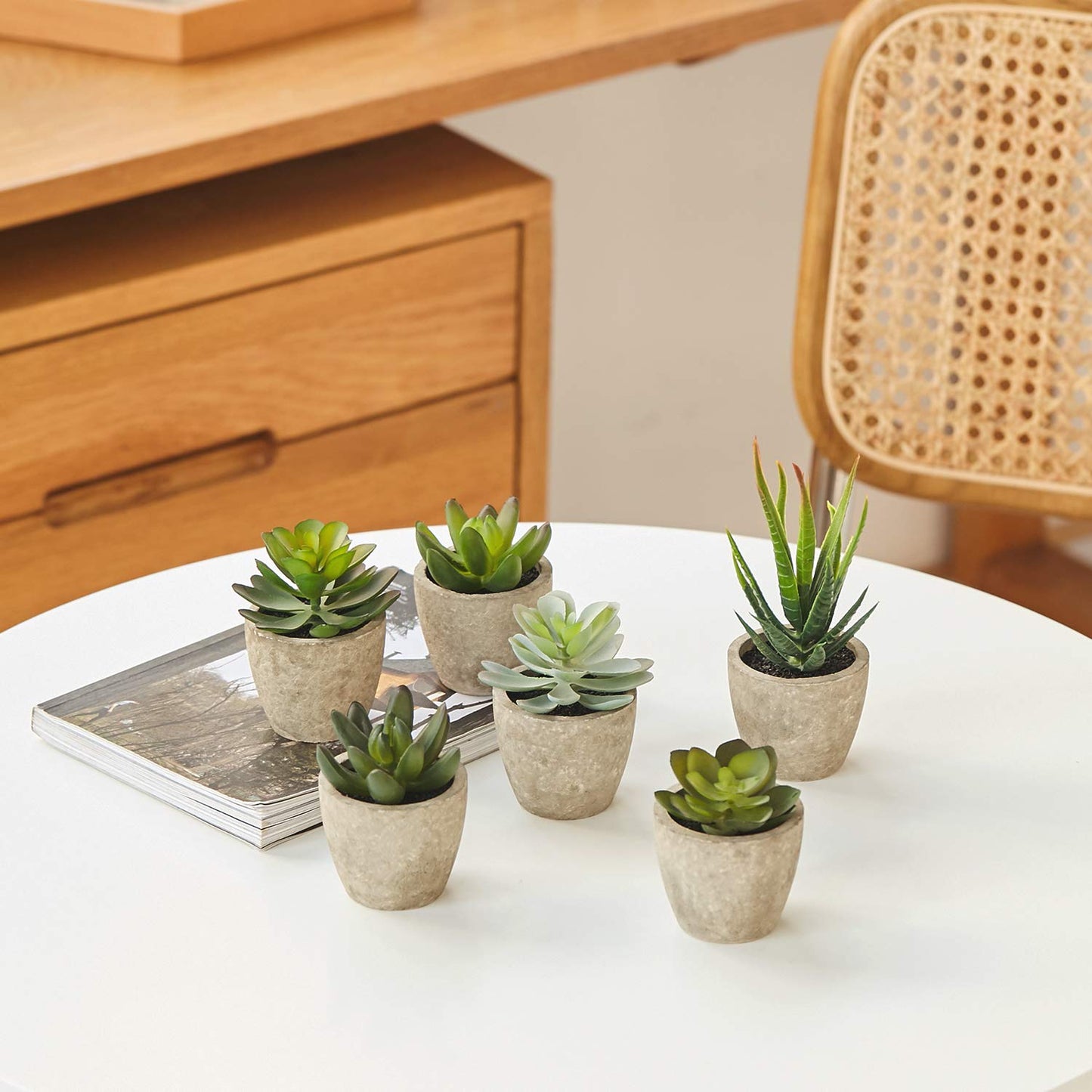 Artificial Succulents Plants Potted Set-Decorative Fake Succulent Plant Faux Set of 6