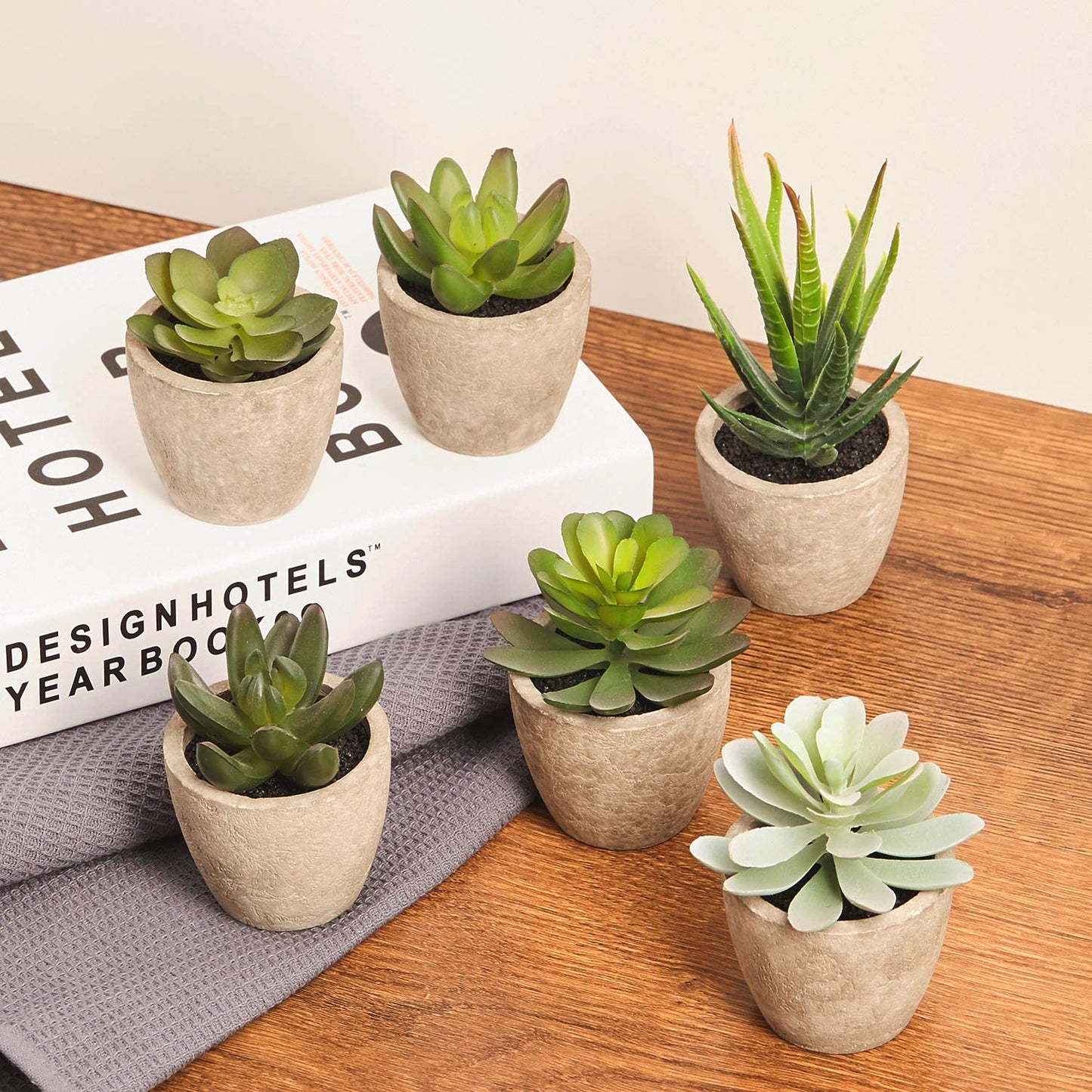 Artificial Succulents Plants Potted Set-Decorative Fake Succulent Plant Faux Set of 6