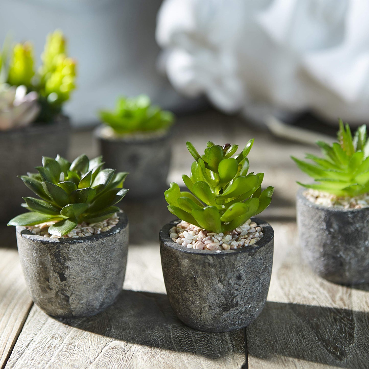 Set of 5 Artificial Succulent Potteds (Includes 10 Plants)