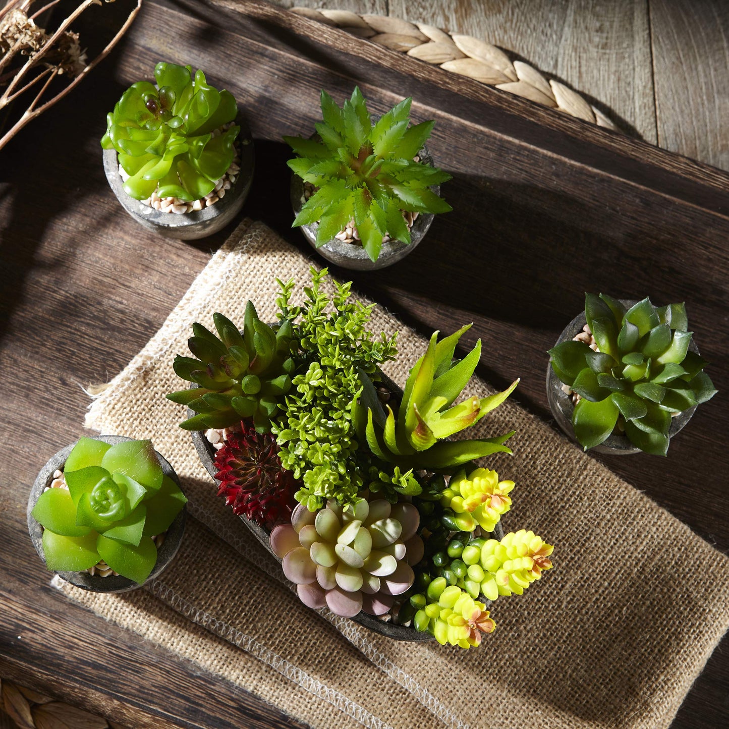 Set of 5 Artificial Succulent Potteds (Includes 10 Plants)